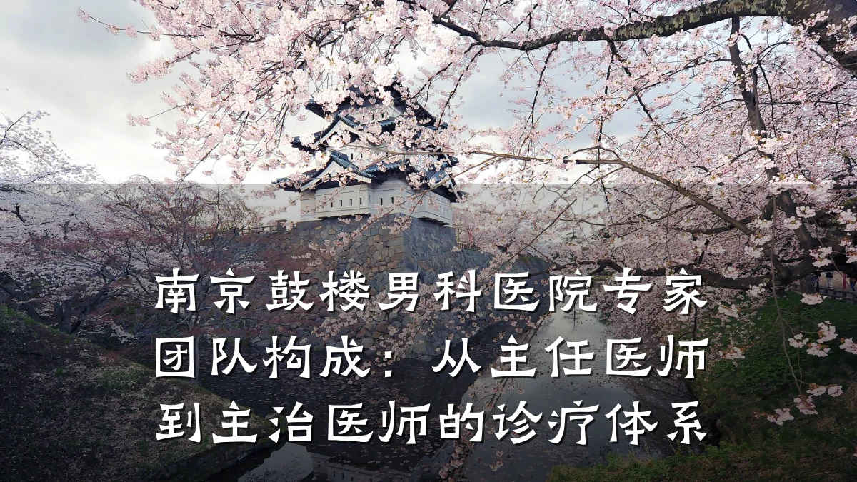 南京鼓楼男科医院专家团队构成:从主任医师到主治医师的诊疗体系