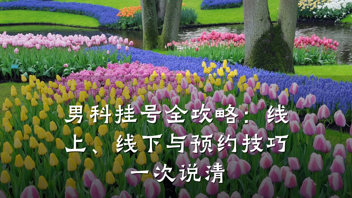男科挂号全攻略:线上、线下与预约技巧一次说清