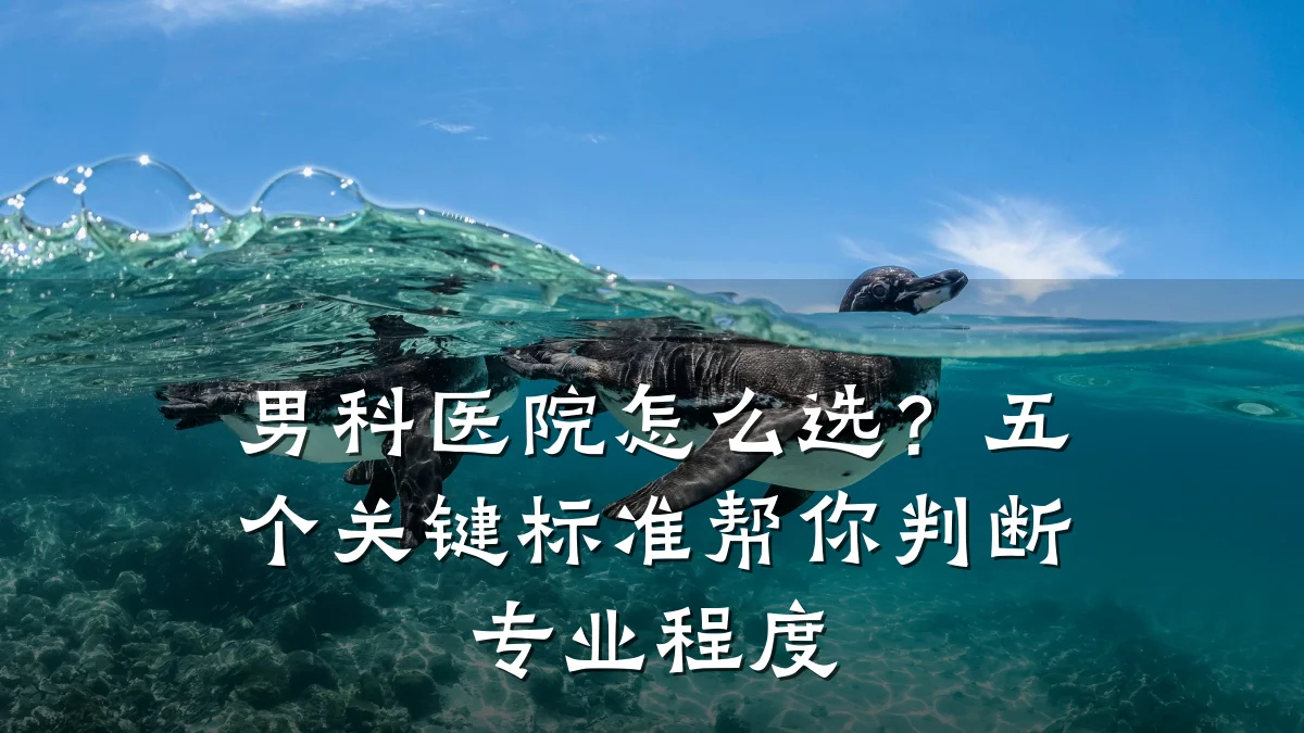 男科医院怎么选?五个关键标准帮你判断专业程度