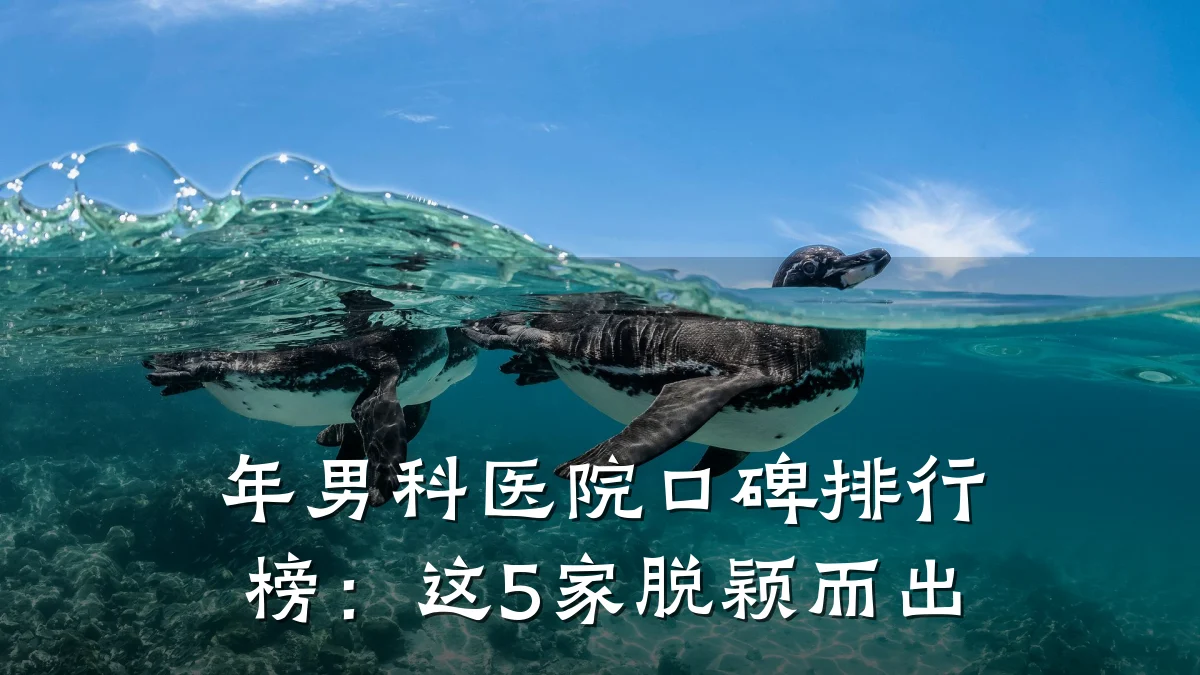 年男科医院口碑排行榜:这5家脱颖而出