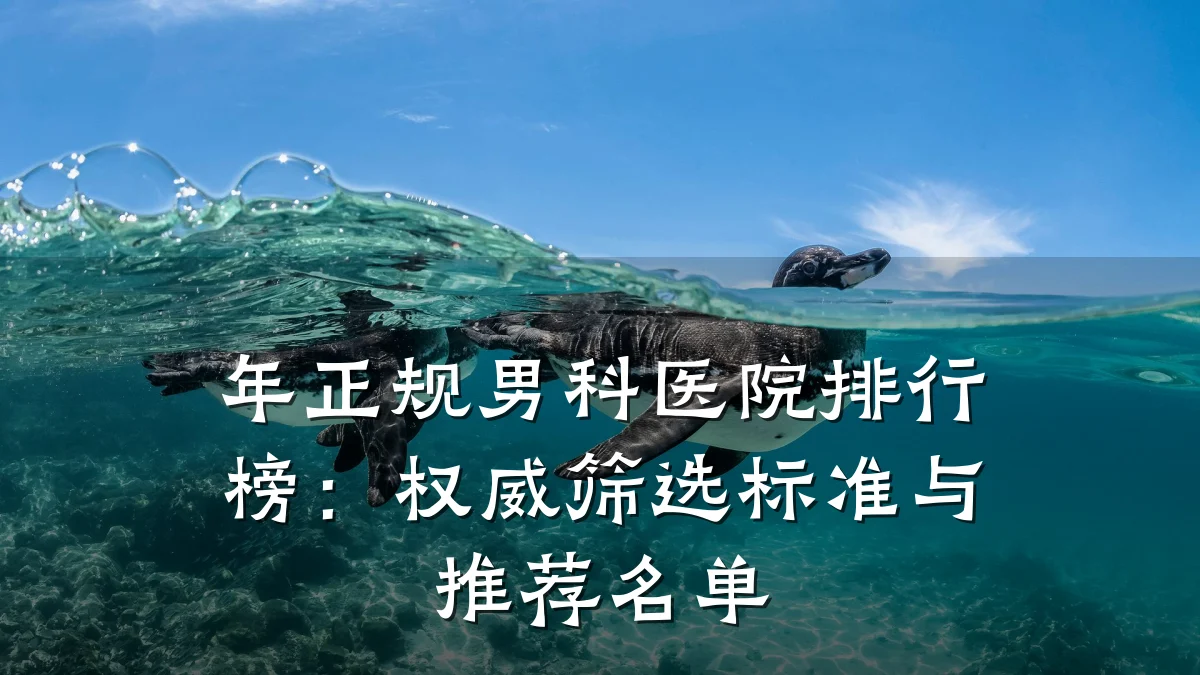 年正规男科医院排行榜:权威筛选标准与推荐名单