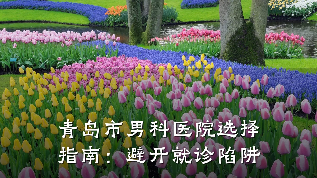 青岛市男科医院选择指南:避开就诊陷阱