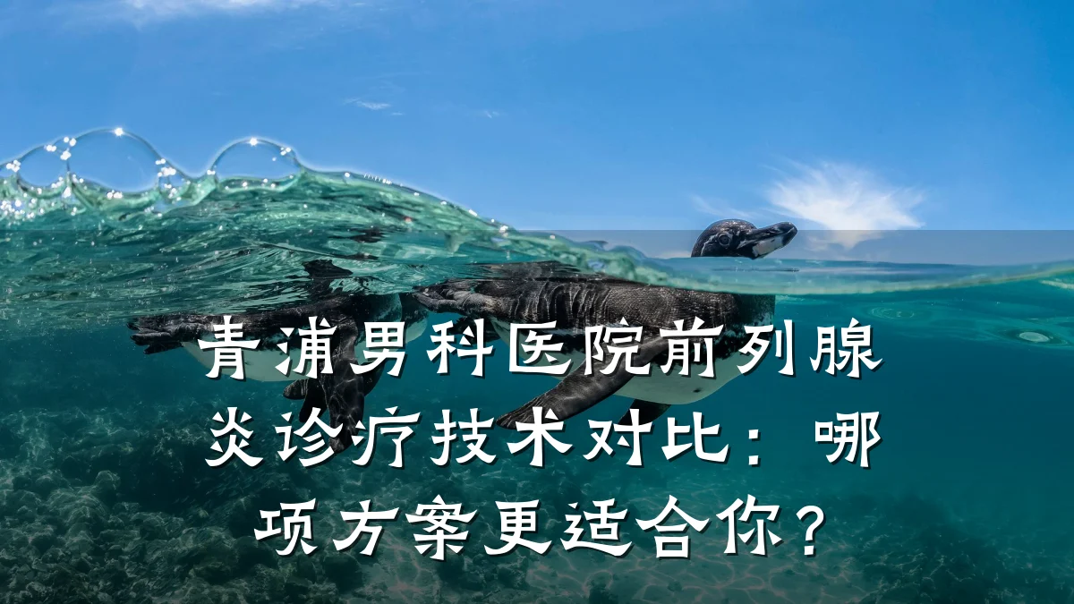 青浦男科医院前列腺炎诊疗技术对比:哪项方案更适合你?