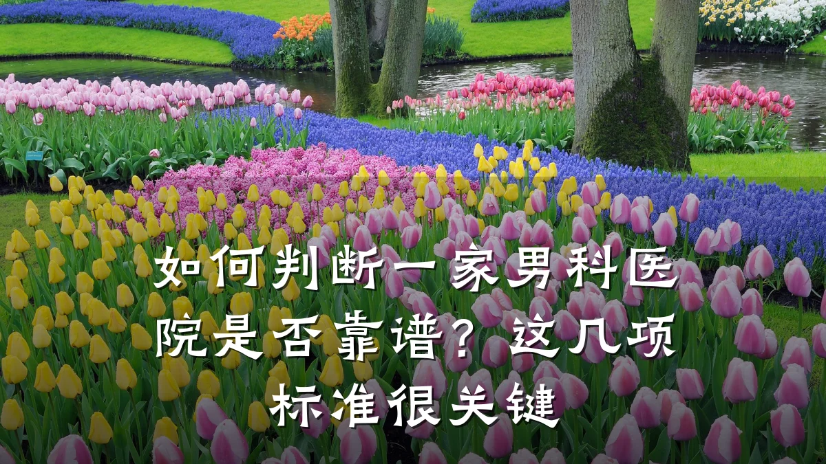 如何判断一家男科医院是否靠谱?这几项标准很关键