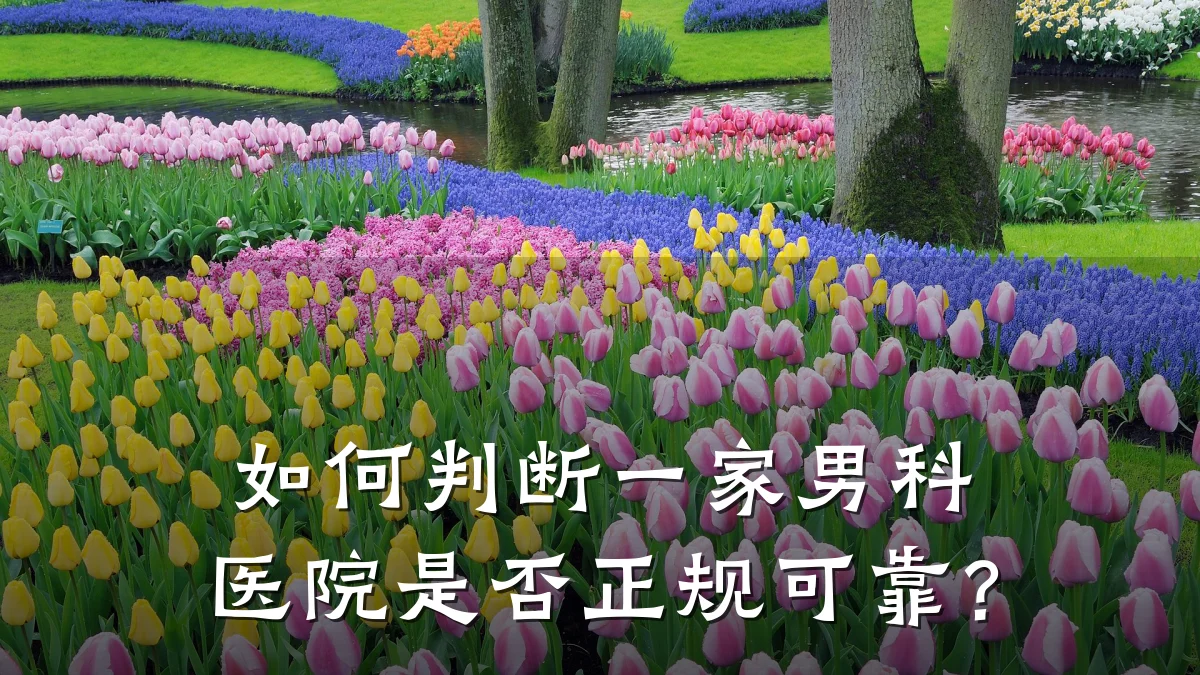 如何判断一家男科医院是否正规可靠?