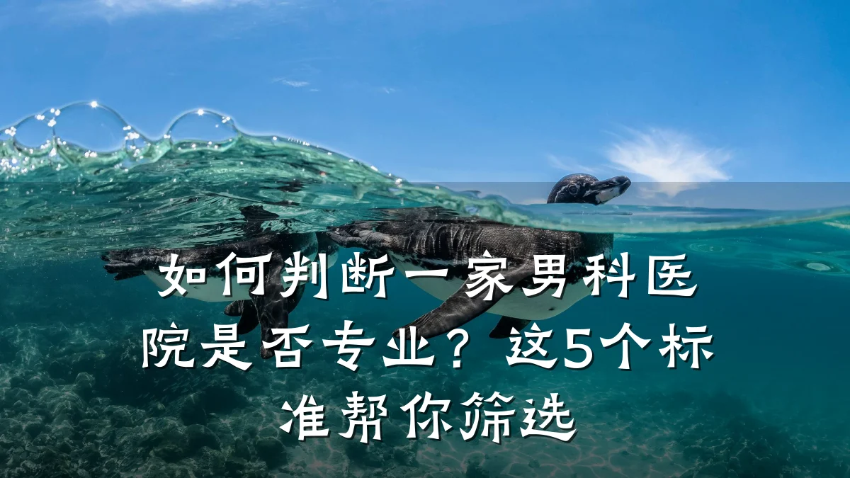 如何判断一家男科医院是否专业?这5个标准帮你筛选