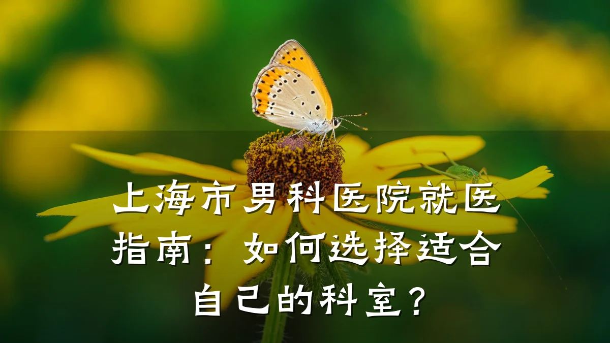 上海市男科医院就医指南:如何选择适合自己的科室?