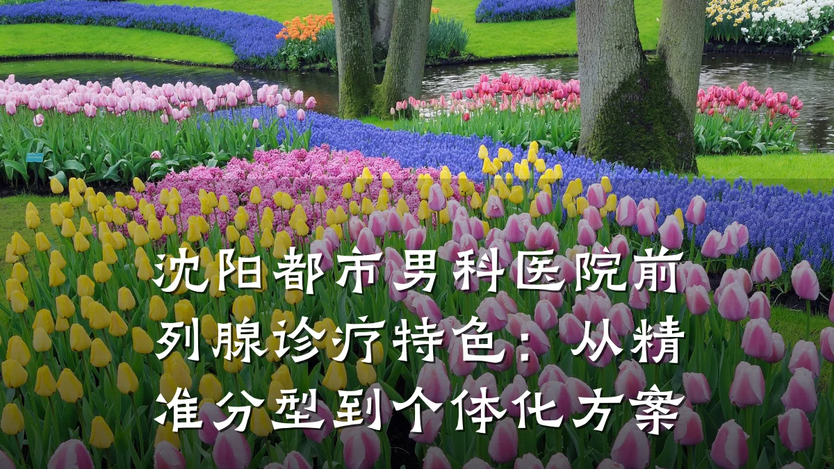 沈阳都市男科医院前列腺诊疗特色:从精准分型到个体化方案