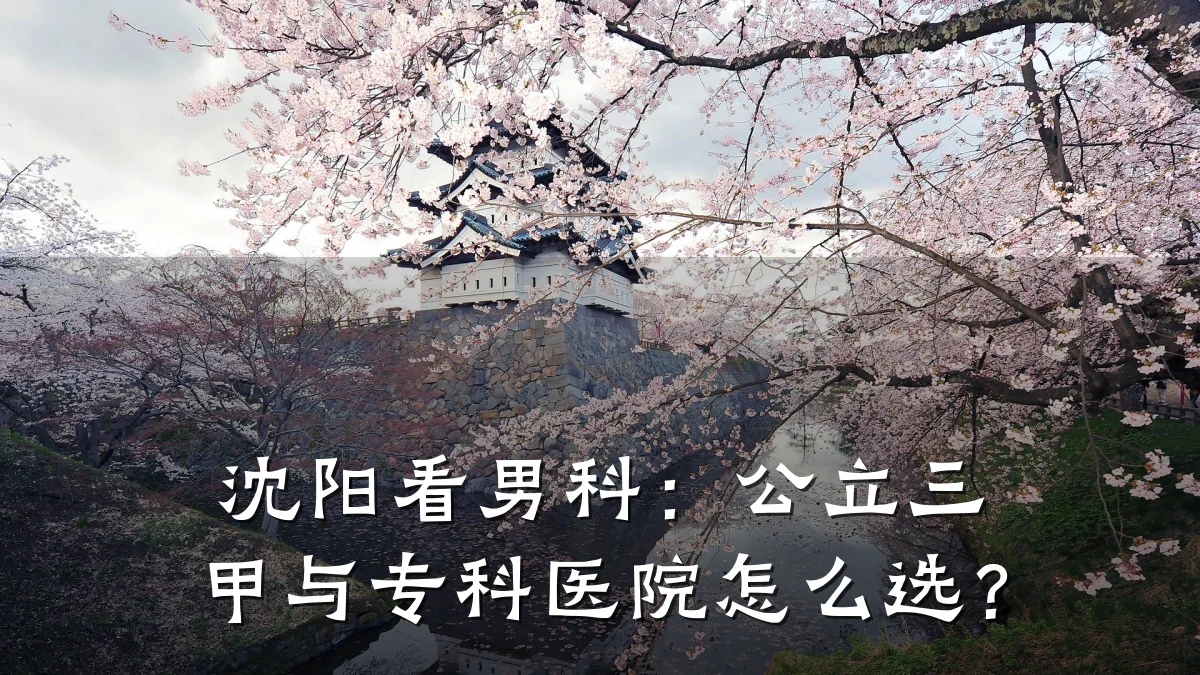 沈阳看男科:公立三甲与专科医院怎么选?
