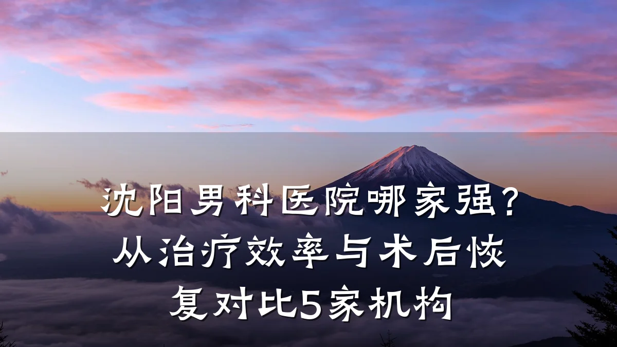 沈阳男科医院哪家强?从治疗效率与术后恢复对比5家机构