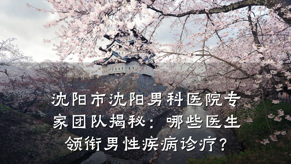 沈阳市沈阳男科医院专家团队揭秘:哪些医生领衔男性疾病诊疗?