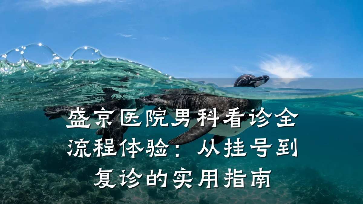 盛京医院男科看诊全流程体验:从挂号到复诊的实用指南