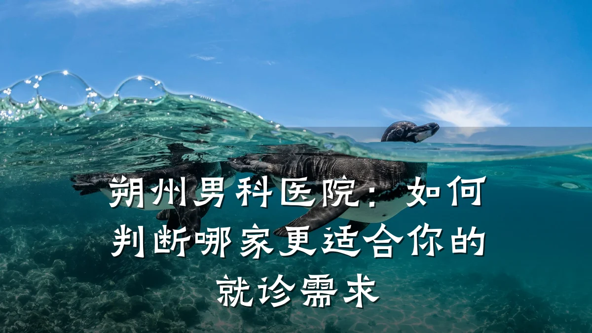 朔州男科医院:如何判断哪家更适合你的就诊需求