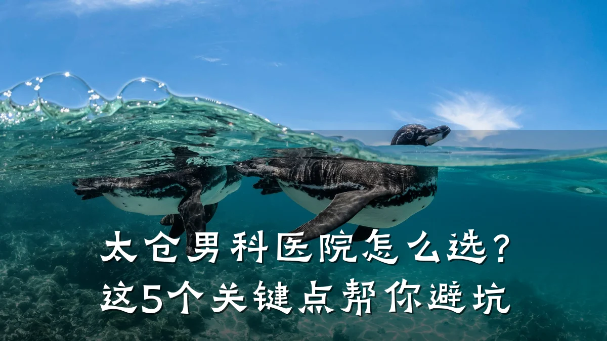 太仓男科医院怎么选?这5个关键点帮你避坑