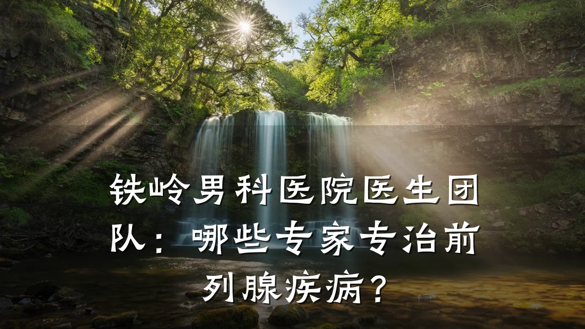 铁岭男科医院医生团队:哪些专家专治前列腺疾病?