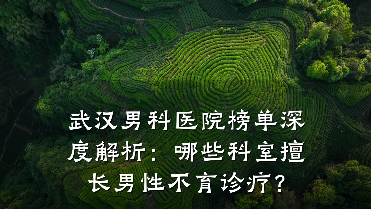 武汉男科医院榜单深度解析:哪些科室擅长男性不育诊疗?