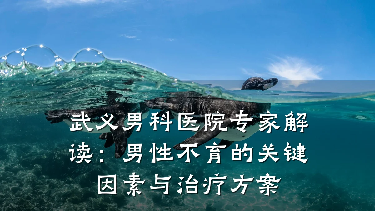 武义男科医院专家解读:男性不育的关键因素与治疗方案