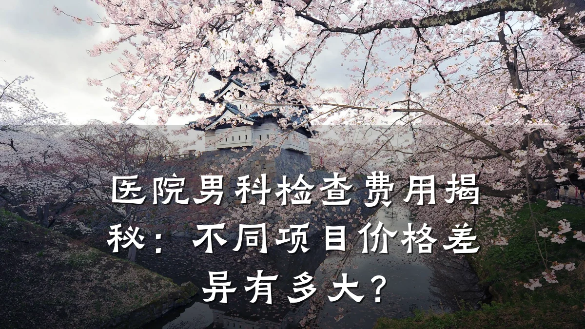 医院男科检查费用揭秘:不同项目价格差异有多大?