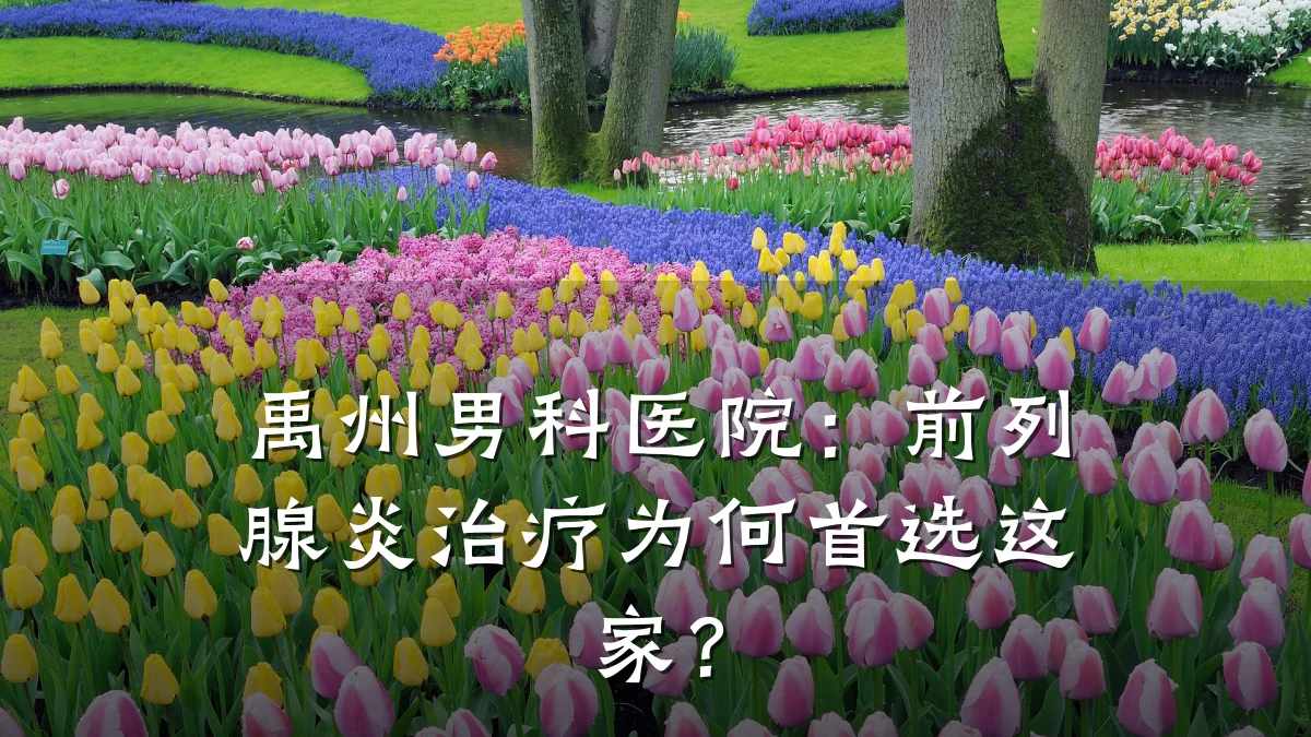 禹州男科医院:前列腺炎治疗为何首选这家?