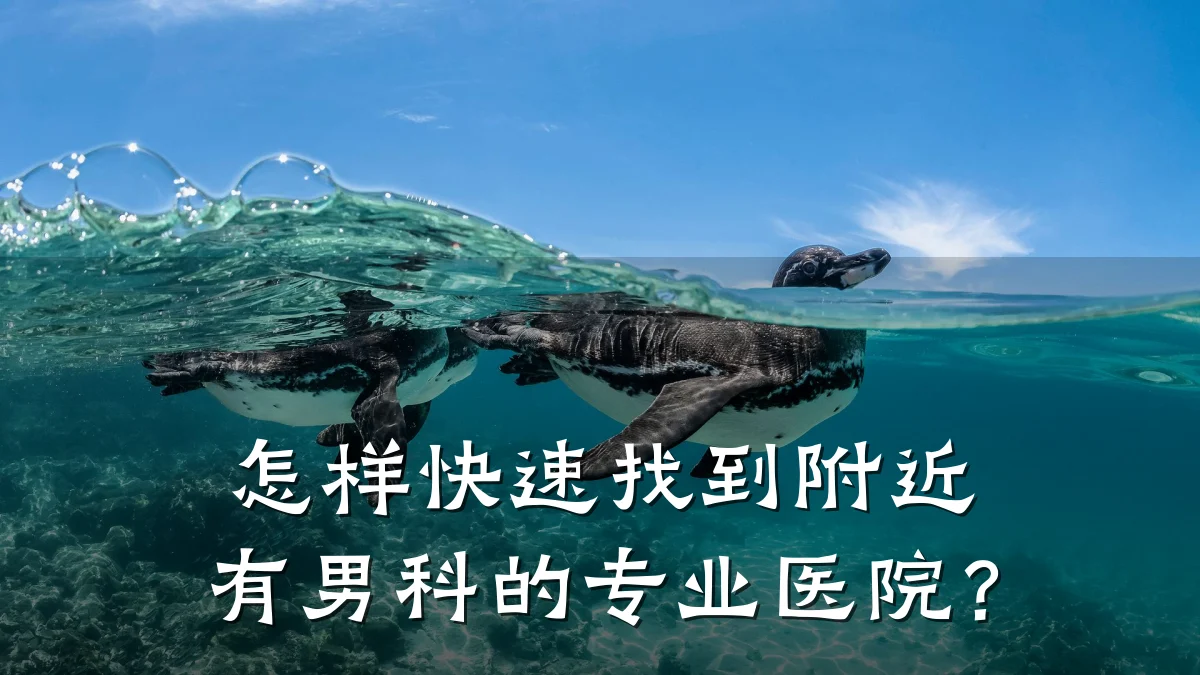 怎样快速找到附近有男科的专业医院?