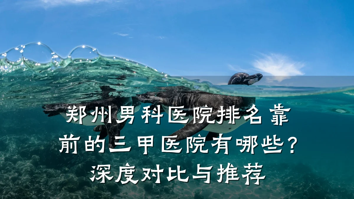 郑州男科医院排名靠前的三甲医院有哪些?深度对比与推荐