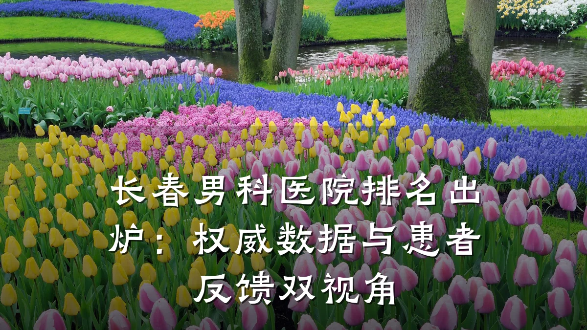 长春男科医院排名出炉:权威数据与患者反馈双视角
