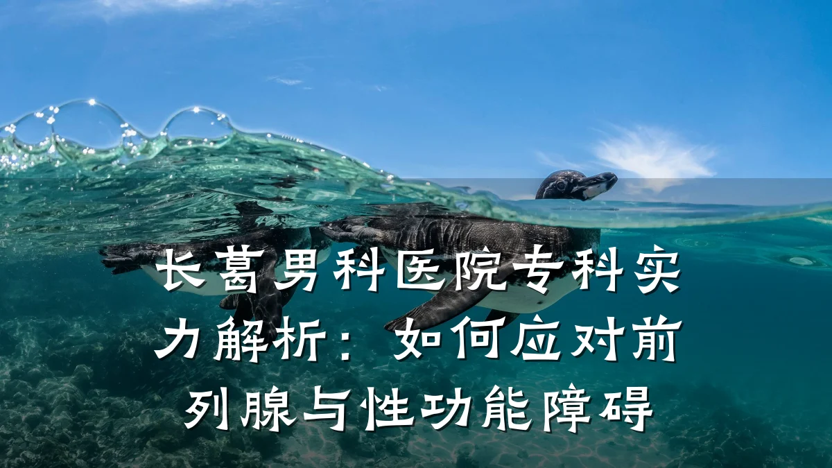 长葛男科医院专科实力解析:如何应对前列腺与性功能障碍
