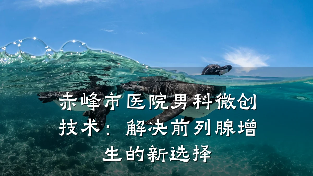 赤峰市医院男科微创技术:解决前列腺增生的新选择