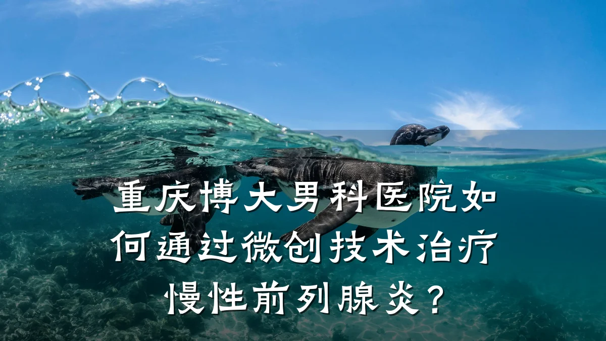 重庆博大男科医院如何通过微创技术治疗慢性前列腺炎?