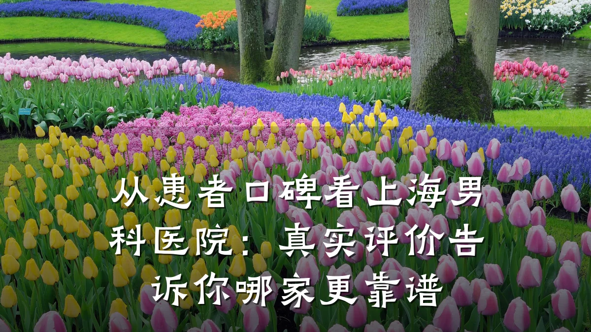 从患者口碑看上海男科医院:真实评价告诉你哪家更靠谱