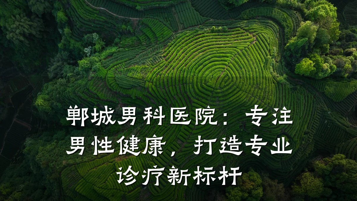 郸城男科医院:专注男性健康,打造专业诊疗新标杆