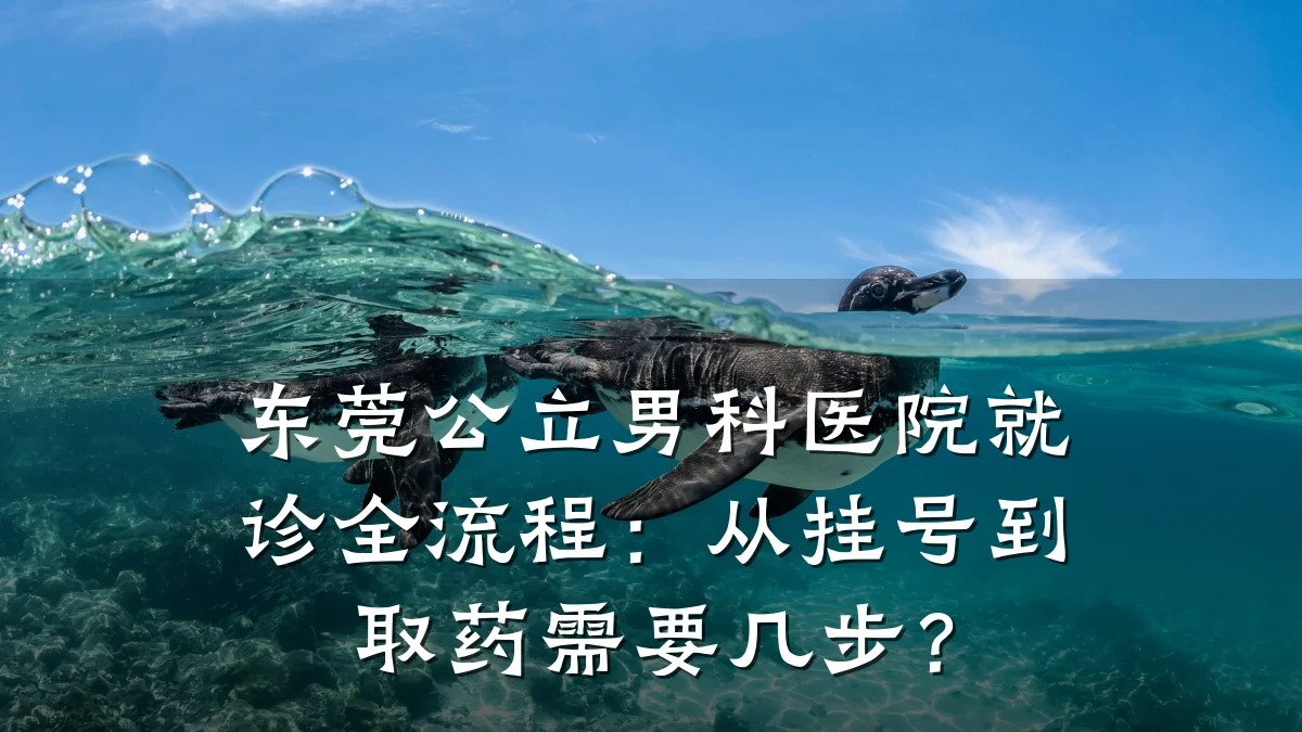 东莞公立男科医院就诊全流程:从挂号到取药需要几步?