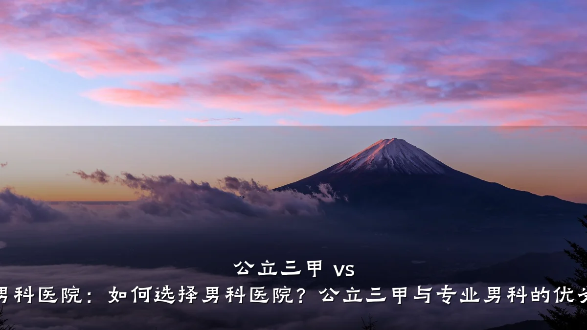 公立三甲 vs 专业男科医院:如何选择男科医院?公立三甲与专业男科的优劣对比
