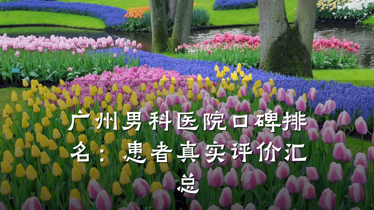 广州男科医院口碑排名:患者真实评价汇总