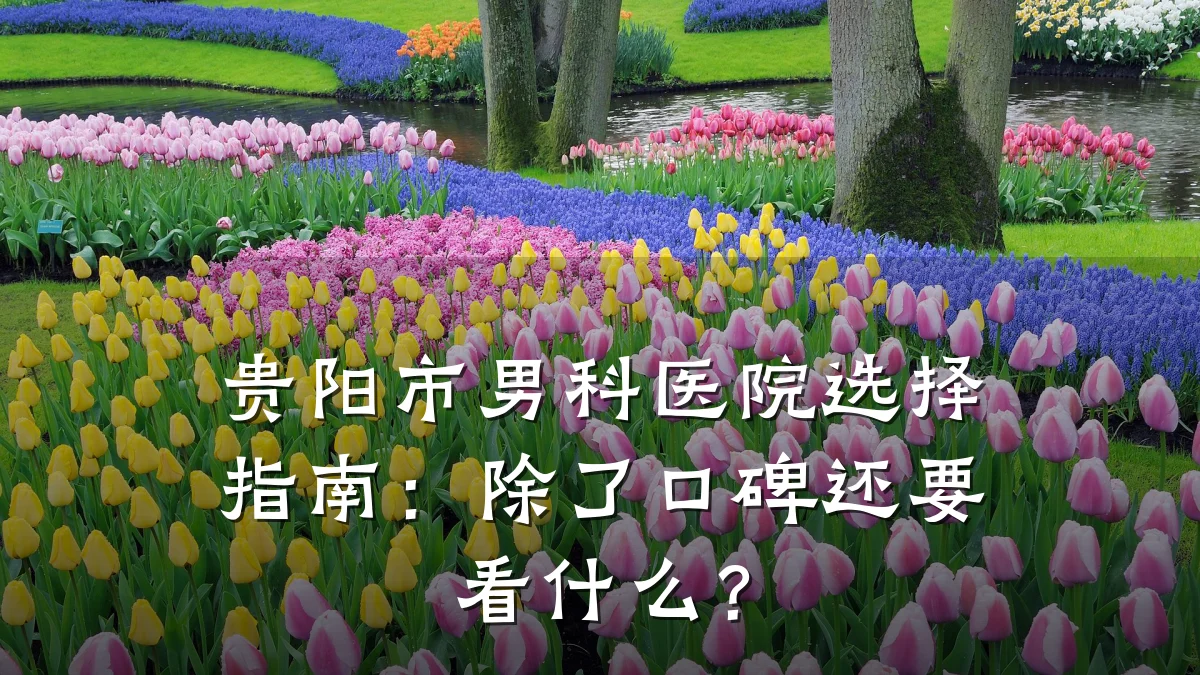 贵阳市男科医院选择指南:除了口碑还要看什么?