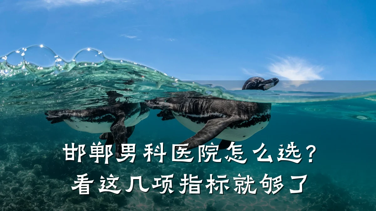 邯郸男科医院怎么选?看这几项指标就够了