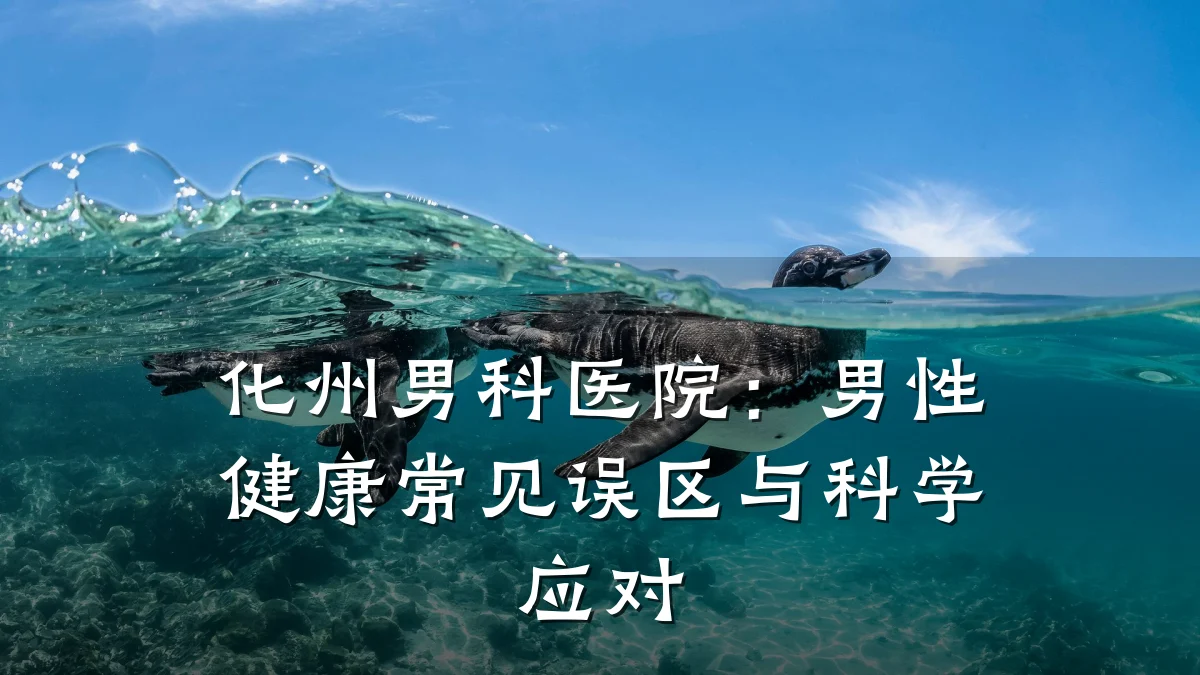 化州男科医院:男性健康常见误区与科学应对