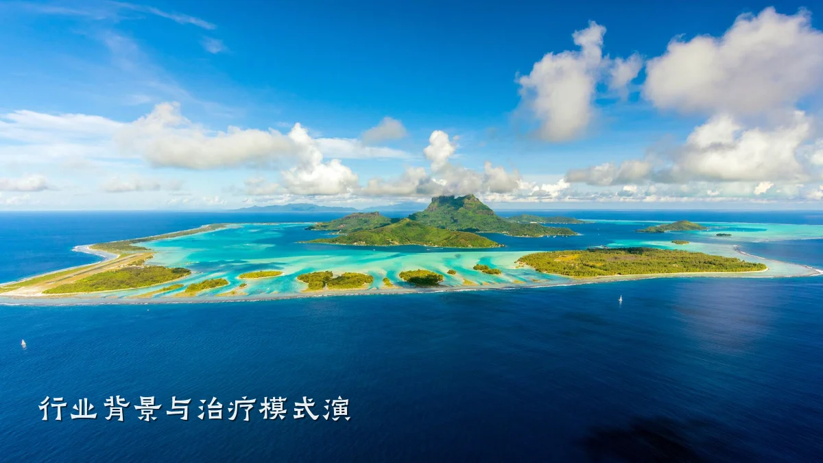 行业背景与治疗模式演