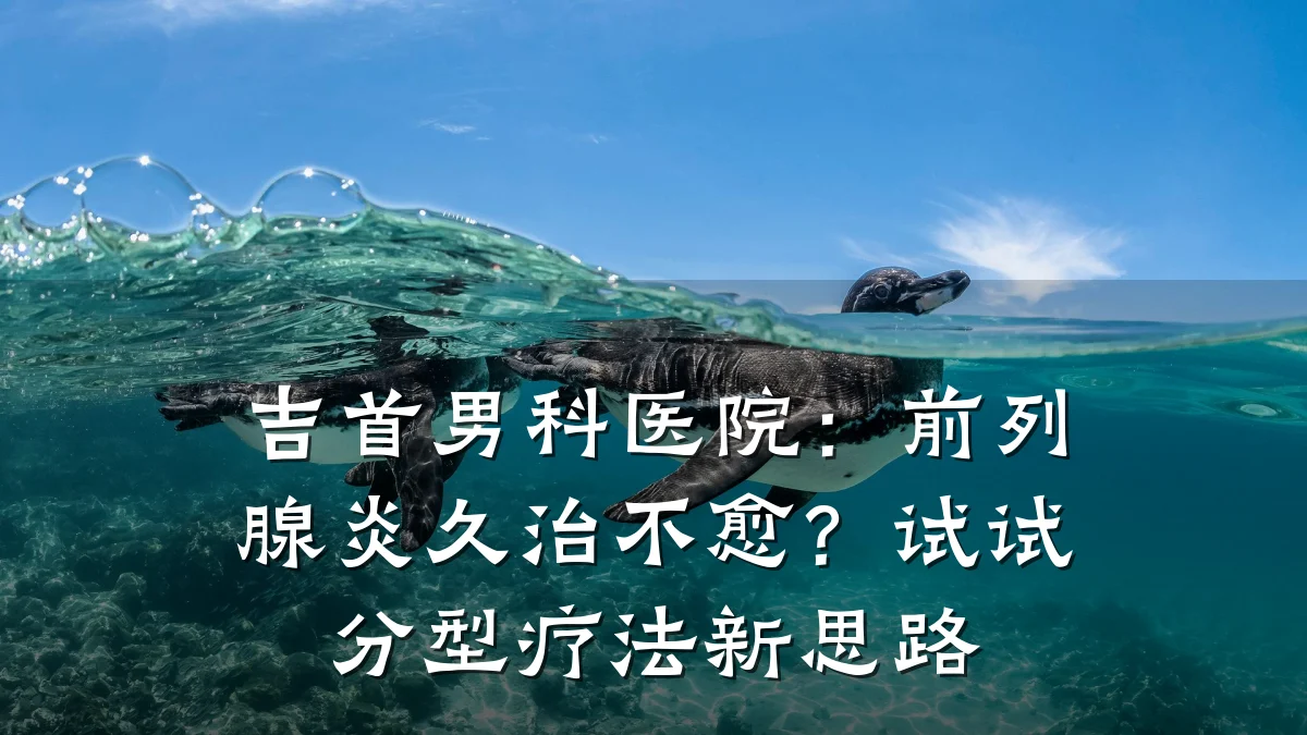 吉首男科医院:前列腺炎久治不愈?试试分型疗法新思路