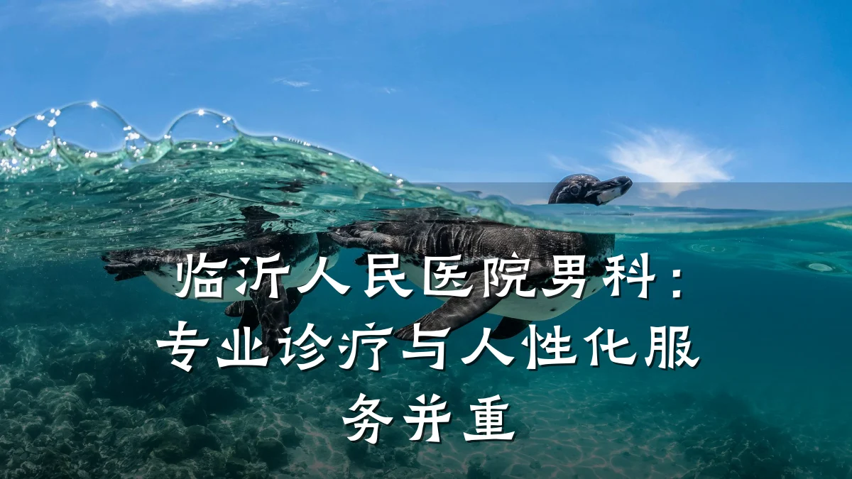 临沂人民医院男科:专业诊疗与人性化服务并重