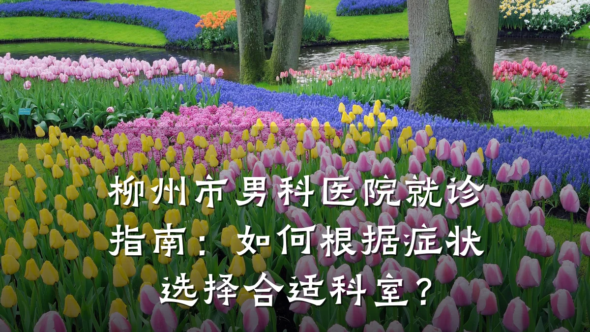 柳州市男科医院就诊指南:如何根据症状选择合适科室?