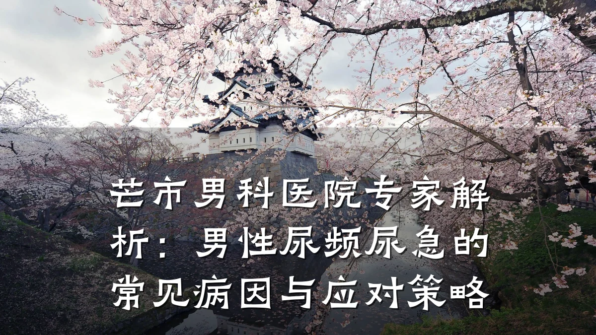 芒市男科医院专家解析:男性尿频尿急的常见病因与应对策略
