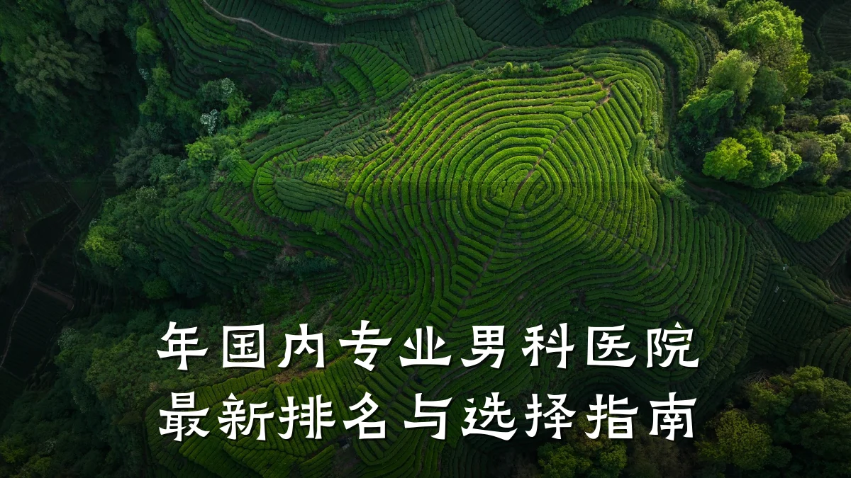 年国内专业男科医院最新排名与选择指南