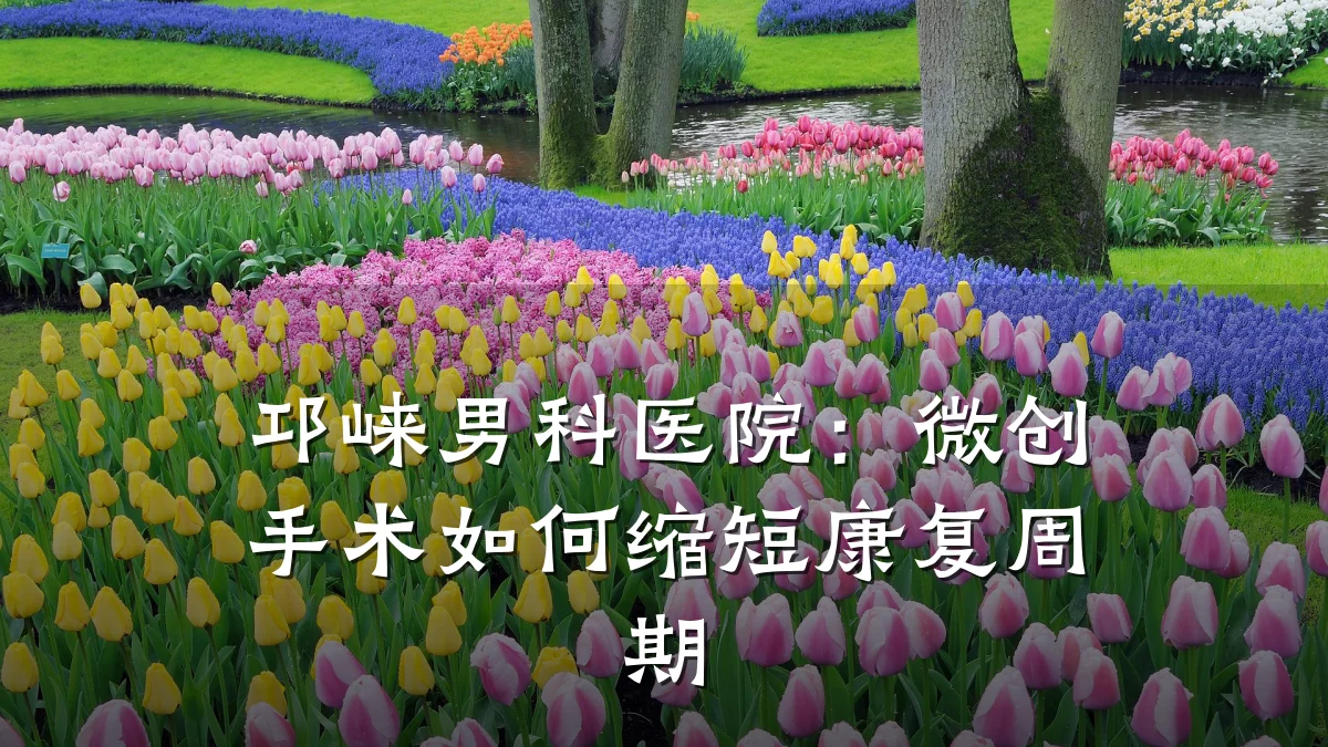 邛崃男科医院:微创手术如何缩短康复周期