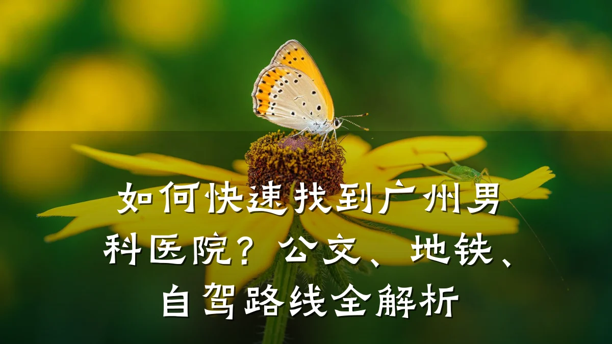 如何快速找到广州男科医院?公交、地铁、自驾路线全解析