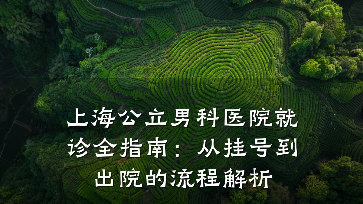 上海公立男科医院就诊全指南:从挂号到出院的流程解析