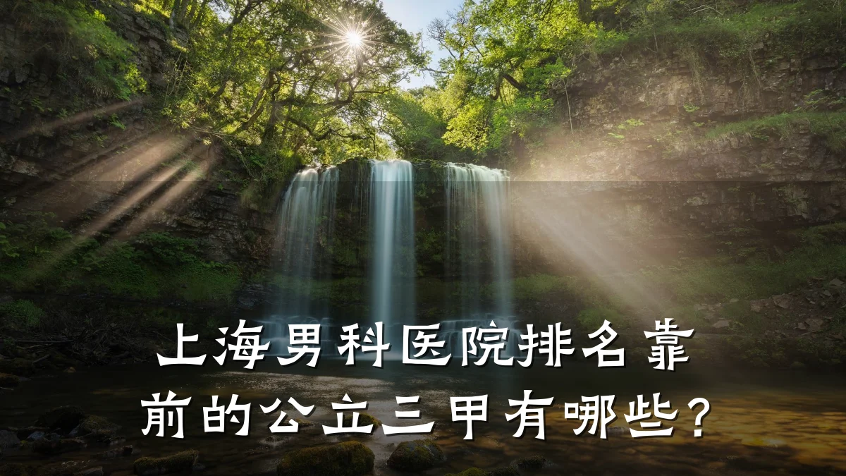 上海男科医院排名靠前的公立三甲有哪些?