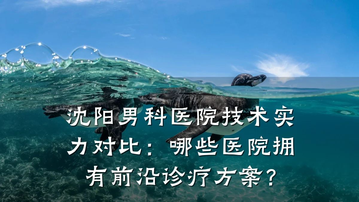 沈阳男科医院技术实力对比:哪些医院拥有前沿诊疗方案?
