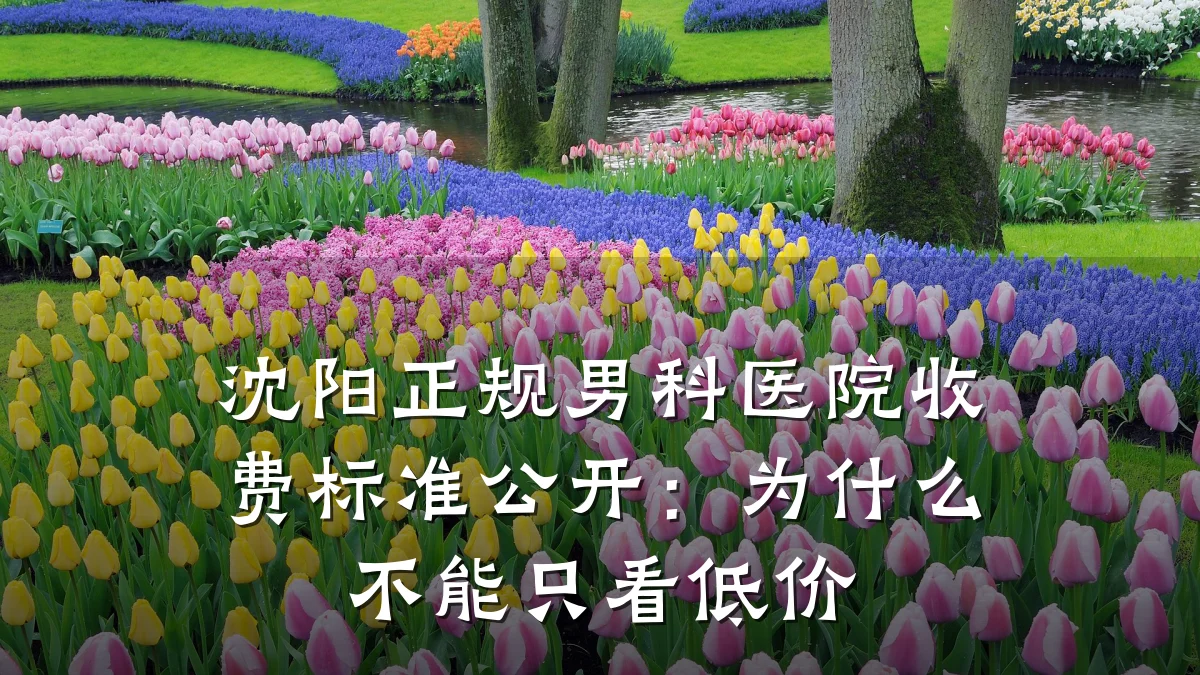 沈阳正规男科医院收费标准公开:为什么不能只看低价