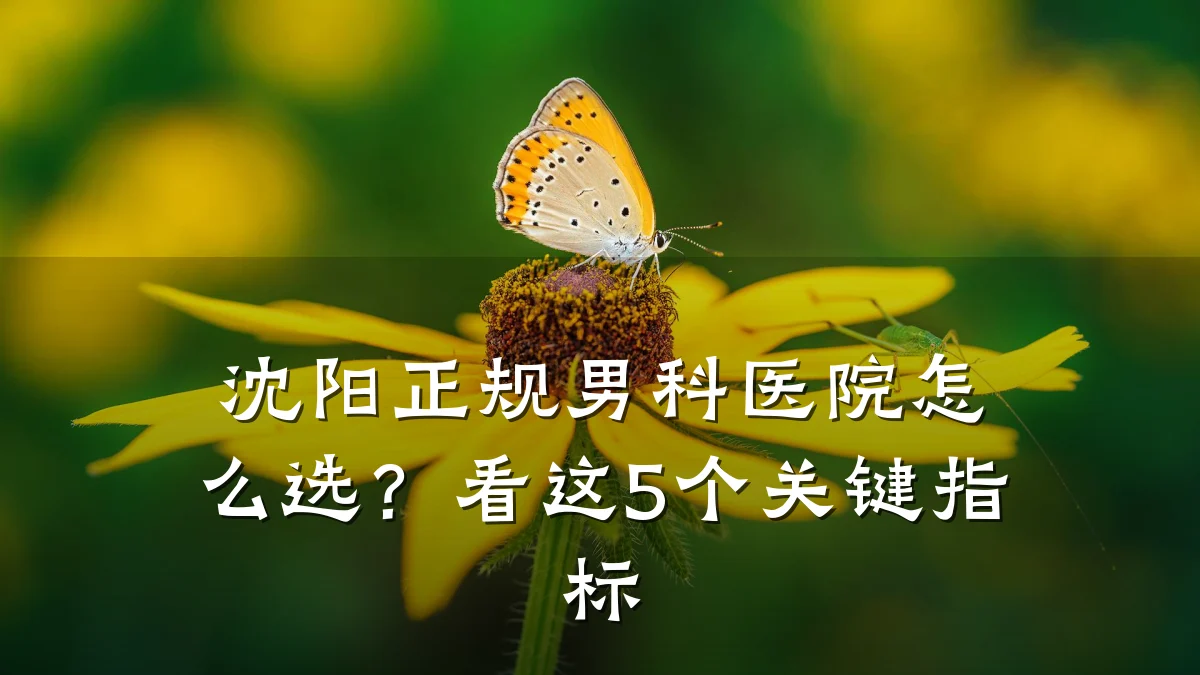 沈阳正规男科医院怎么选?看这5个关键指标